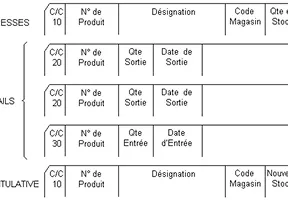 La carte perforée